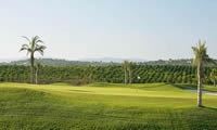 amendoeira o'connor golf course